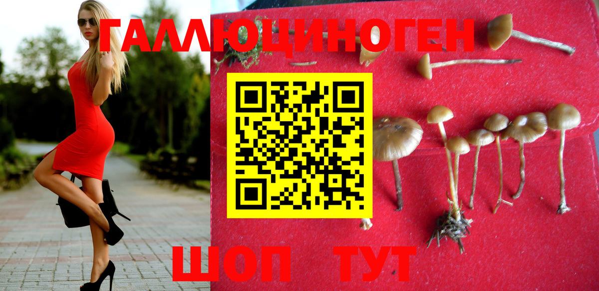 Соль-Илецк  Галлюциногенные грибы Cubensis  Вход с VPN  хочу   Галлюциногенные грибы GOLDEN TEACHER 