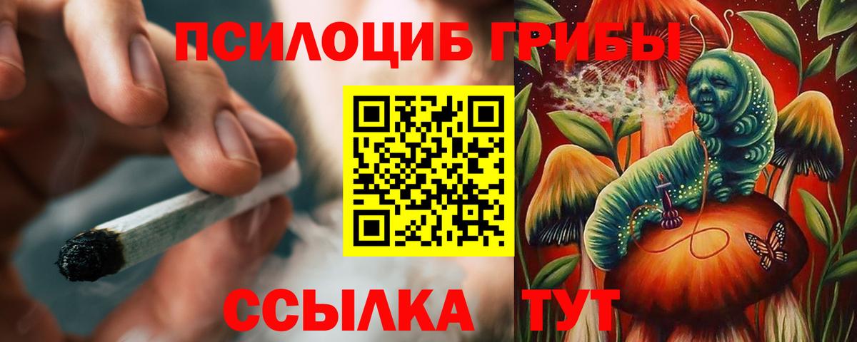 Галлюциногенные грибы Magic Shrooms Соль-Илецк